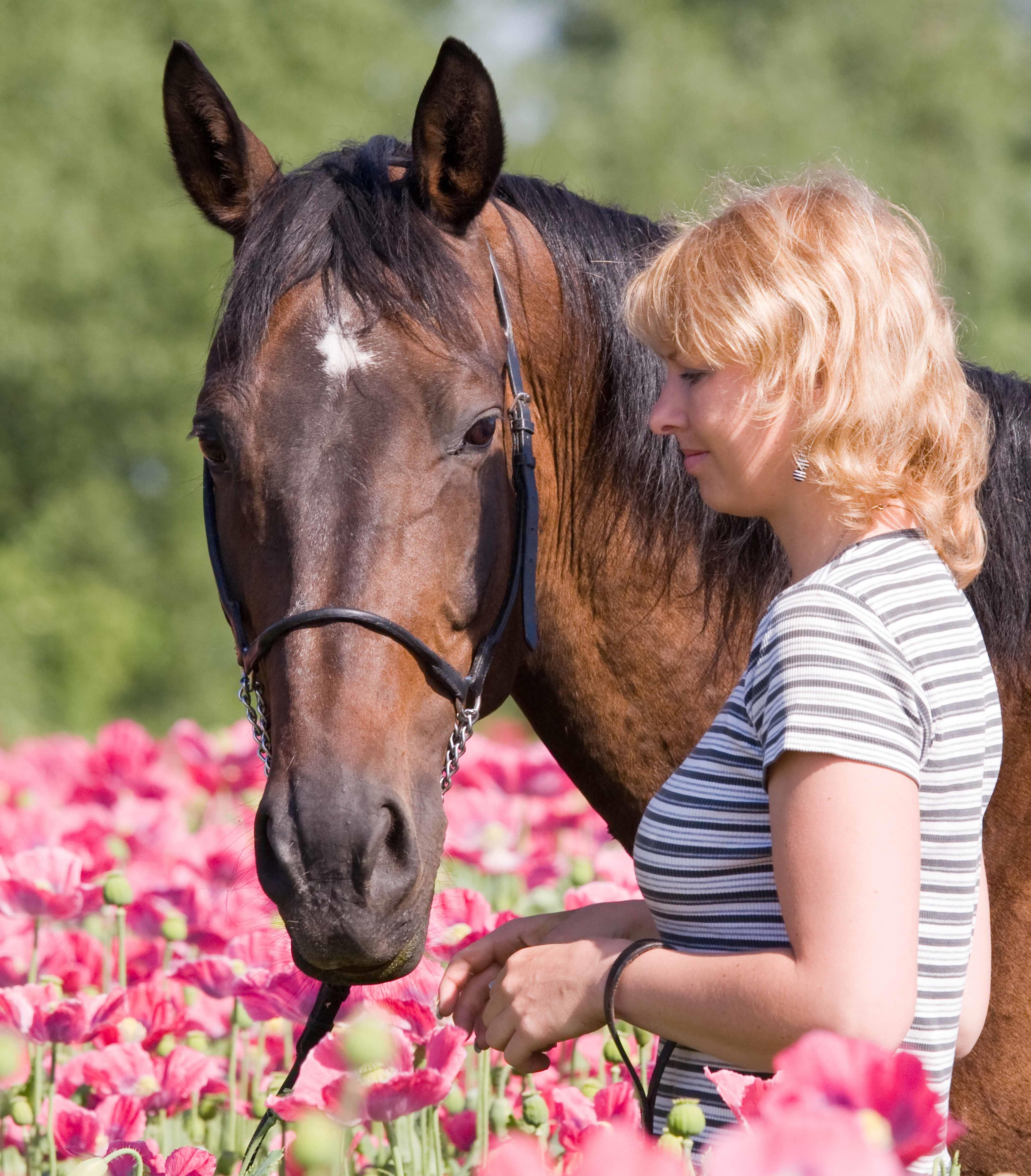 April is Horse Vaccination Month